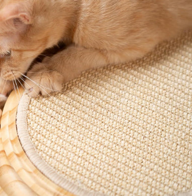 Solid Wood Cat Toy For Playful Pets